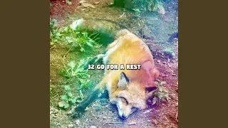 Go Fast Asleep