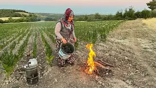 Breakfast in the Tobacco Field ~ Samovar tea over a wood fire ~ Life in Anatolia