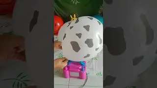 ASMR Fun balloon latex inflation and deflating