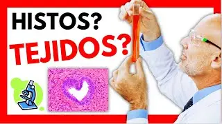 ✋ ¿Qué es la HISTOLOGÍA en MEDICINA? 🦠 ¿Qué son los TEJIDOS? 🔬