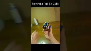 Rubik's Cube Dog 