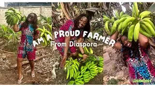 Am a Proud Farmer from Diaspora, Banana and Plantain plantation #farming #diaspora