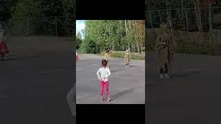Фестиваль Лешего. #Фестиваль #лешего #семейныйканал #черныекамни