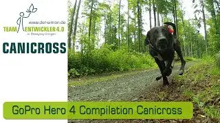 Canicross Zughundesport Bikejöring Training Laufhund Husky GoPro Hero 4 Compilation 2016