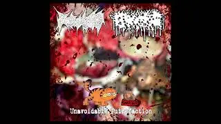 K9 Hemorrhoids/Gastric Fasclitis - Unavoidable Putrefaction FULL SPLIT (2025-Gorenoise/Goregrind)