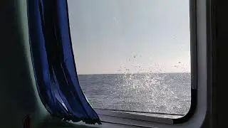1 сентября 2021 г.