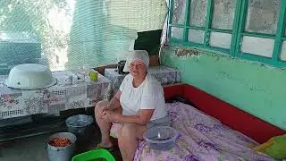 19 июля 2024 г.