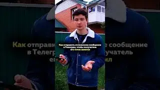 Та самая отправка сообщения в Телеграм, о которой ты не знал. Функции телеги. Урок, в 1ом комменте