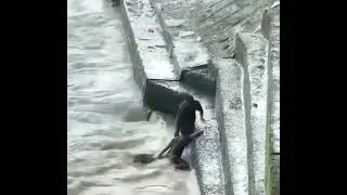 Humanity exists ❤️😲