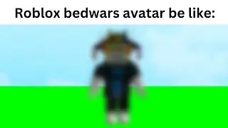 Bedwars tryhard avatar be like: