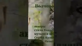 Волчонóк