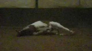 Lui, lei.. e l'altra!