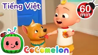 Bài Hát Chú Cún Của Bé | CoComelon Lồng tiếng việt - Karaoke dành cho trẻ em