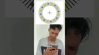 ILUSI MATA! BERGERAK ATAU DIAM?