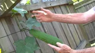 Owen's Garden Tour - May 22, 2011