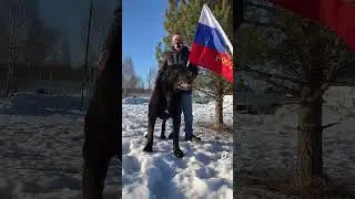 12 декабря 2022 г.