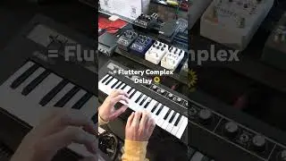 Checking out Red Panda’s amazing collection of pedals at the Brooklyn Synth Expo 🐼🎹 @redpandalab