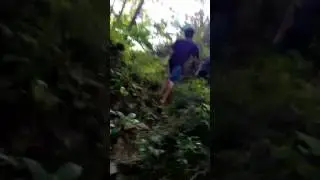 Ketangkep basah Di main Di semaksimal semak