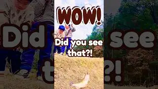 Tiny Fisherman Reels In A Giant Bass – Must See! #bassfishing #fishing