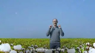 Environmental cotton - Prof. Filipe Natalio