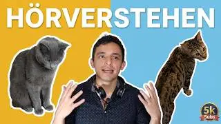 Te presento a mis gatos EN ALEMÁN! (Especial 5000 suscriptores) -  Cómo desarrollar tu hörverstehen