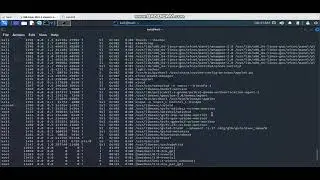 Checking Running Process Info in Linux