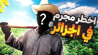 WHO IS PABLO EL FELLAH ?