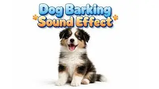 Dog Barking Sound Effect