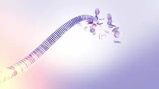 526 v3   Particle Attack Logo reveal Coin beauty intro V3