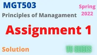 MGT503 Assignment 1 Solution Spring 2022 / MGT503 Assignment 1 Solution 2022 