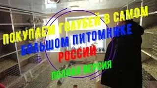 Полная версия поездки к Харлашину Виктору Ивановичу 
