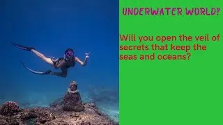 #дайвинг Underwater world - Дайвинг