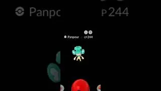 Shiny Panpour ✨️ Pokémon Go! #shorts