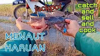 #EP1047 Ada Rezeki di Buat Lauk - menaut haruan tali air