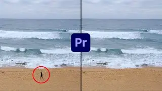 How to Remove Object from Video in Premiere pro