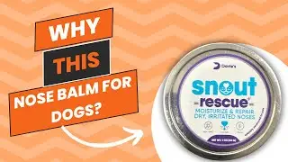 Review and Demo of Snout Rescue - Dog Nose Balm