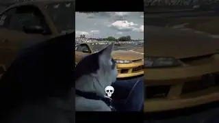 Cat Drifts 💀🗿