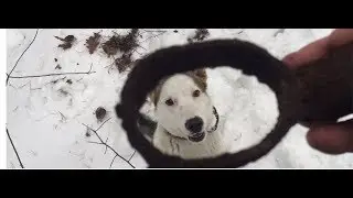КоП по войне.Первый выезд в 2019 году.Опасная находка