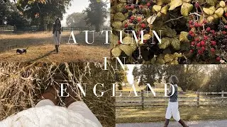 AUTUMN HOME MAKING | HOME CLEANING, SHOPPING &  BREAD BAKING | Lydia Elise Millen