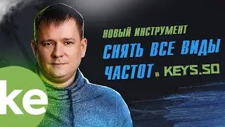 Все виды частот Wordstat в Keys.so | Новый инструмент "Снять частоты Вордстат онлайн"