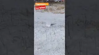 ВЗОРВАЛ КОРСАР 4 В СНЕГУ 