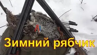 Охота на зимнего рябчика #28