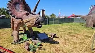 Come with at County Fair 2024