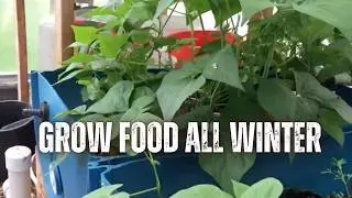 DIY Aquaponics for Beginners | Off-Grid Heated Greenhouse & Easy Plumbing Tips
