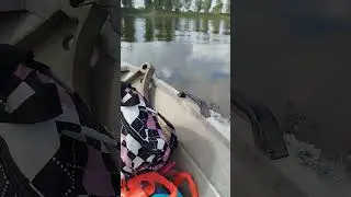 Стартанул в гости