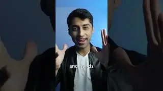 Do you know how to use gestures properly?