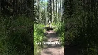 Log jumping fun!