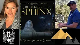 Sarah Breskman Cosme's new book 