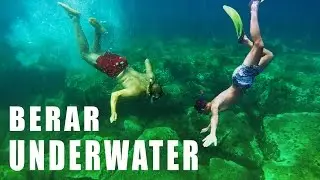 Gopro Algerie - BERAR UNDERWATER