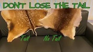 How To Skin A Deer Tail